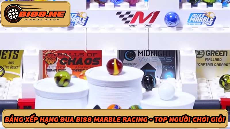 Bảng Xếp Hạng Đua Bi88 Marble Racing - Top Người Chơi Giỏi