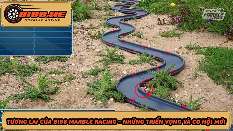 Bi88 Marble Racing - Trang chủ số 1 cá cược uy tín đua bi ở Việt Nam