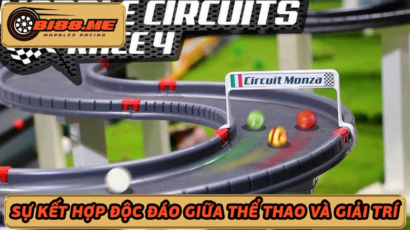 Bi88 Marble Racing - Trang chủ số 1 cá cược uy tín đua bi ở Việt Nam