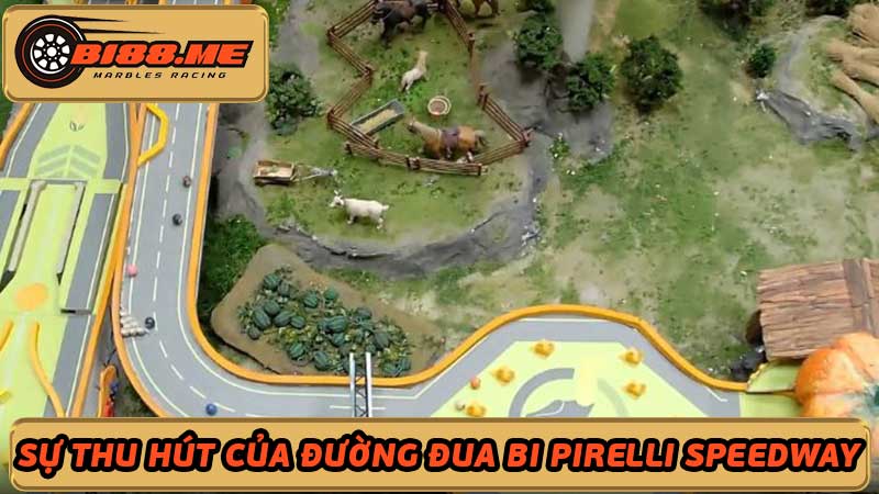 Đường đua bi Pirelli Speedway Đường đua nông trại nổi tiếng