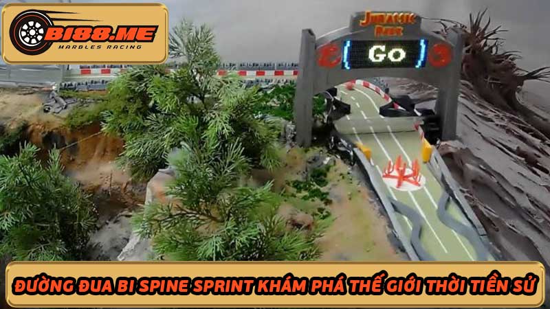 Đường đua bi spine sprint Khám phá thế giới thời tiền sử