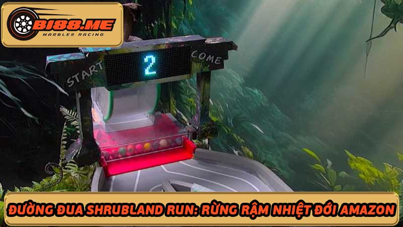 Khám phá đường đua Shrubland Run Rừng rậm Amazon