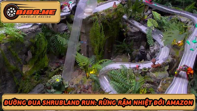 Khám phá đường đua Shrubland Run Rừng rậm Amazon