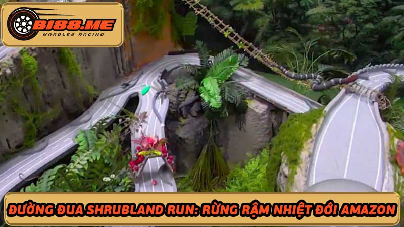 Khám phá đường đua Shrubland Run Rừng rậm Amazon