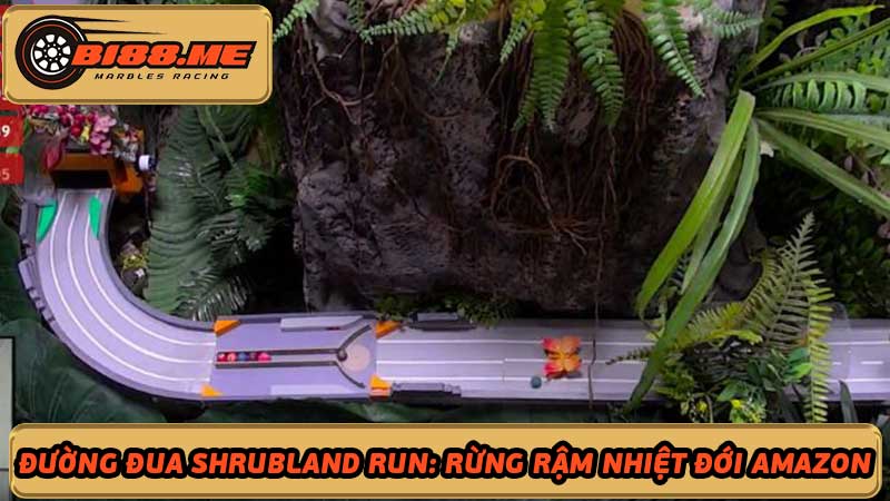 Khám phá đường đua Shrubland Run Rừng rậm Amazon